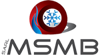 logo msmb main